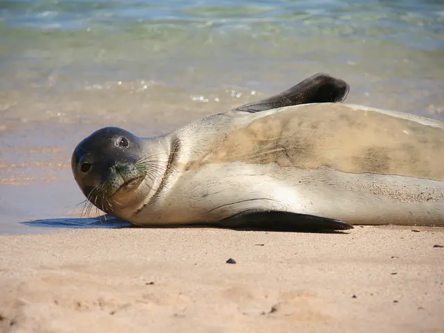 Cooling off in the water during Labor Day weekend? Swimmers may encounter fecal pollution at...
