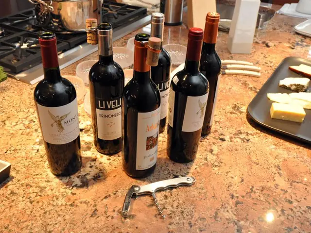 DIYKitchen Remodel: Weighing the Advantages and Disadvantages Before Diving In