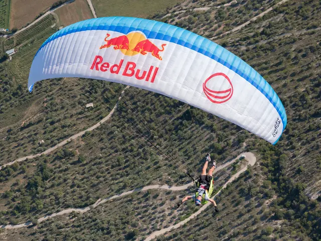 Skydiving Breakdown: Initial Freefall, Parachute Deployment, Final Landing