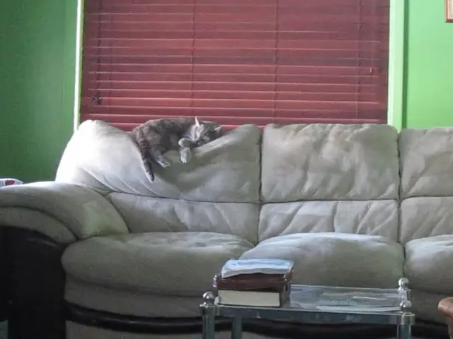 Database Software: Couchbase Functions and Applications