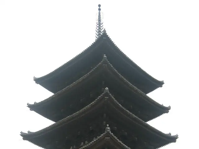 Rapid Expansion of China East Education, Catering to Increasing Need for Skilled Labor Markets