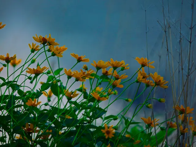 Optimal Sunlight Necessary for Healthy Growth of Jasmine Plants