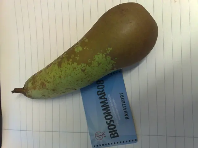 Timing the Picking of Gourds: Aiming for Optimal Ripeness