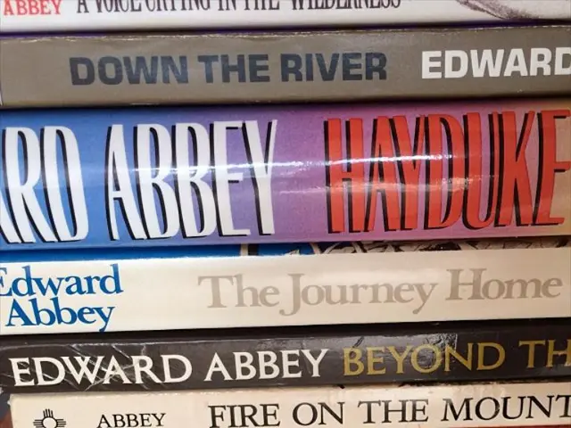 Rapid emergence of movies based on popular books to hit the market swiftly