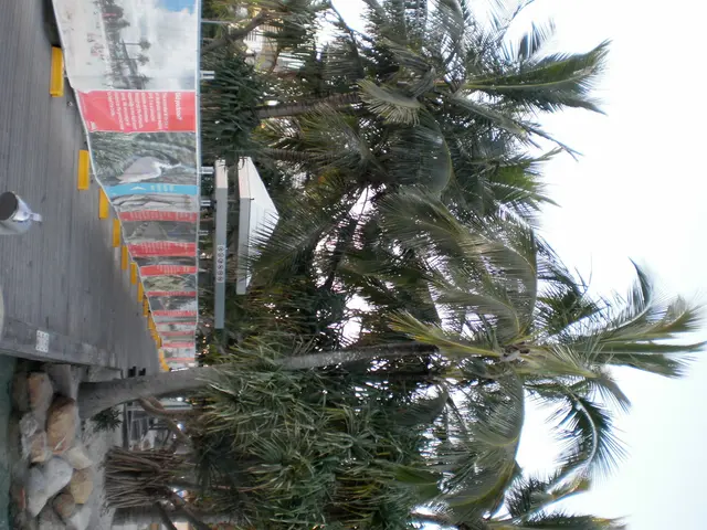 Encouraging increased sea voyages to India's coastline from ASEAN nations