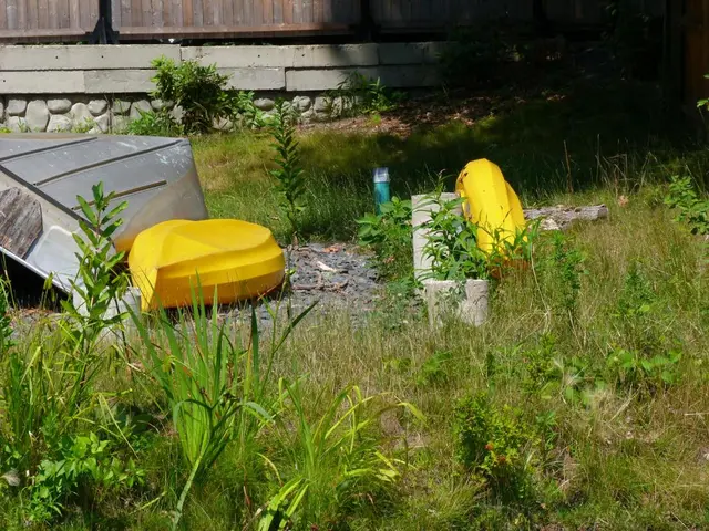 Driving towards oil and gas exploitation in the Amazon rainforest