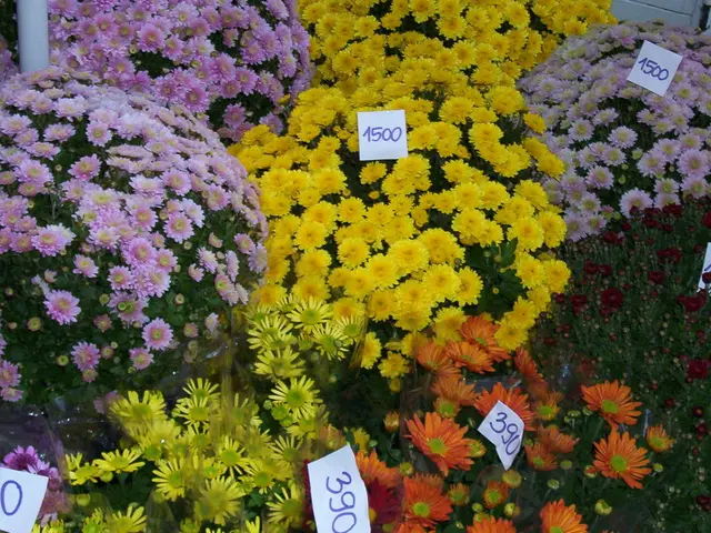 Reduction in Commercial LPG Gas Cylinder Prices by ₹51.50, Implementation from September 1st