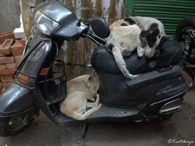 Officer discovers stolen moped on patrol