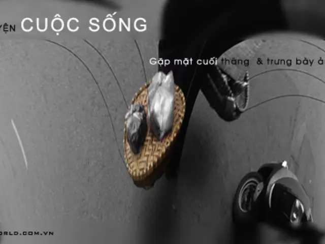 Collision on A9 leaves multiple individuals harmed; authorities seek eyewitness accounts