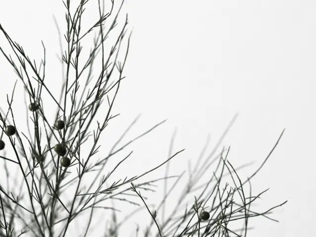 Unraveling the Secrets of Durva: A Detailed Examination to Recognize this Holy plant