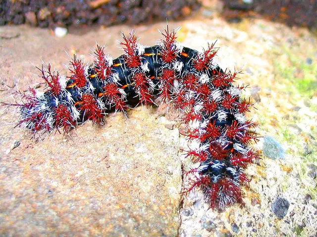 US confrontation with Norway's sovereign fund on bulldozer exports