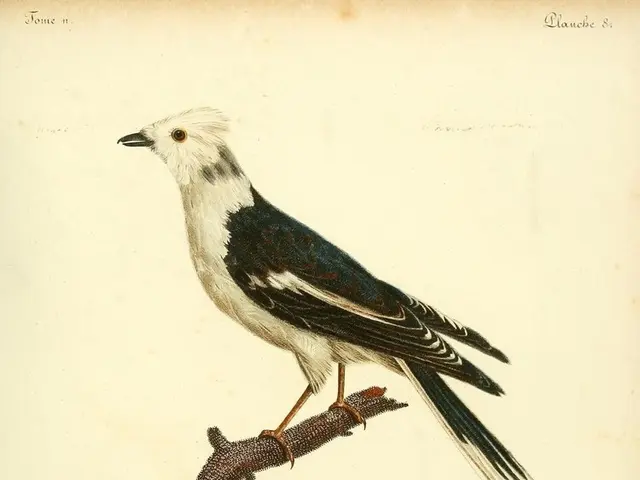 Preferring a Rural Life: Actress Robin Wright Embraces a Life Apart from the City