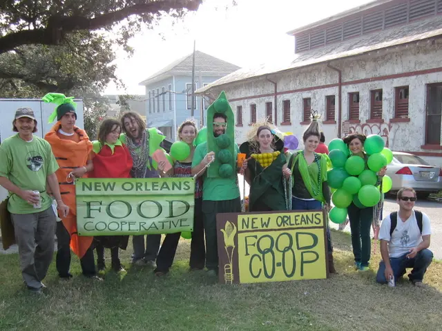 Optimized strategies for playing Jacks or Better video poker games