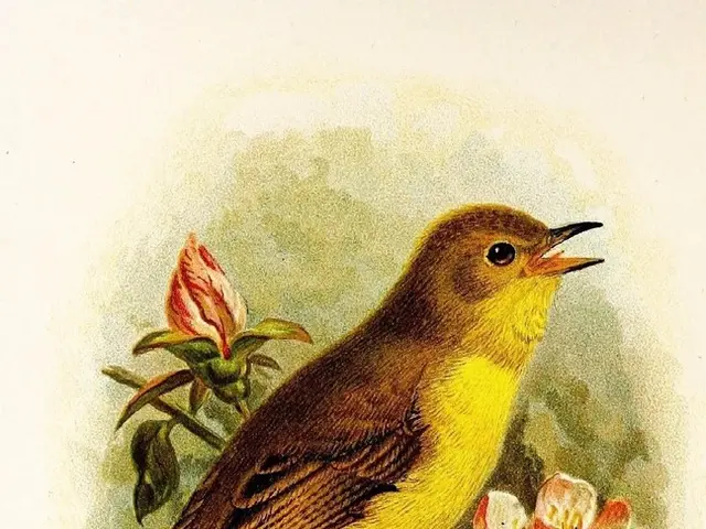 DIY Paper Plate Birds with an Amusing Twist