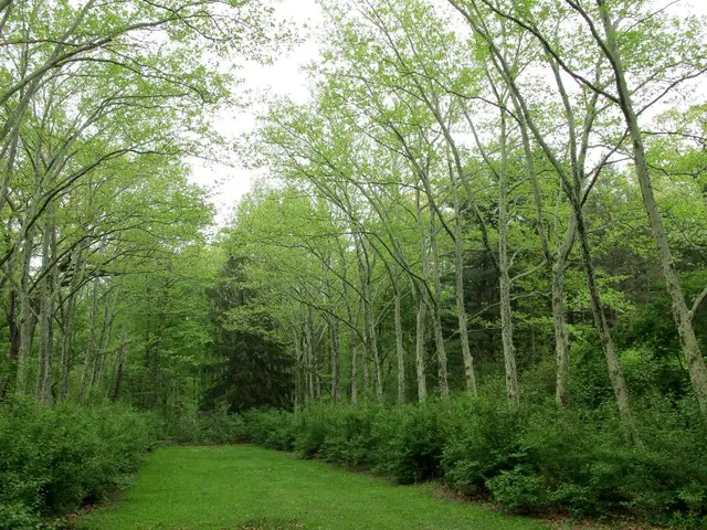 Potential development of 73 million new homes in England's protected green areas could be on the...