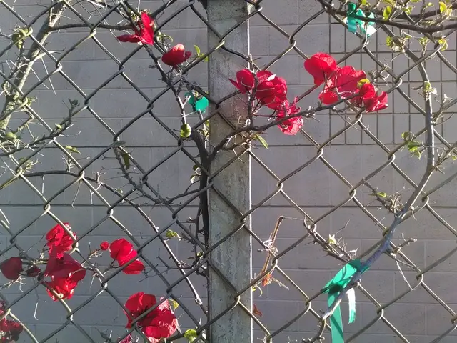 Retail capital may find itself drawn to evergreen strategies, according to KBRA's assessment.