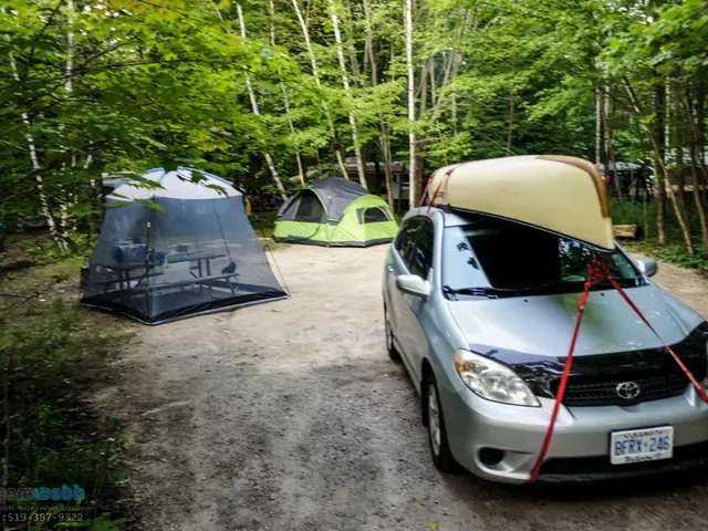 Guidelines for Permissible and Prohibited Activities in Recreational Vehicles (specifically...