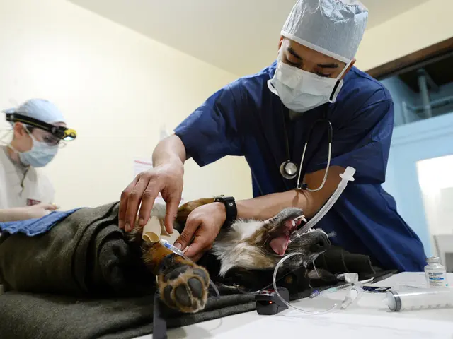 Individual meets unfortunate demise due to error in placing breathing tube within esophagus instead...