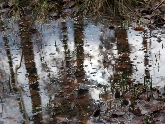 ConsistentEnergy Generation at Mutrikupersists despite↑ amplified wave intensity