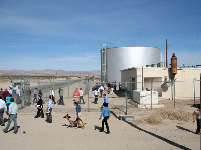 Decline in U.S. Tourism Caused by Self-Imposed Wounds Leaves Certain Americans Frustrated and...