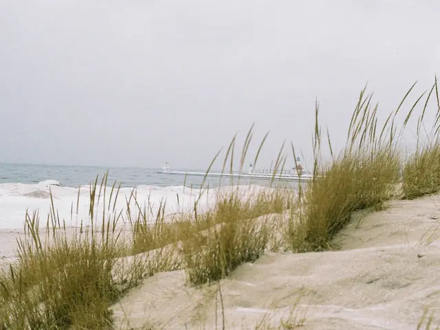 Minimal watering and reduced maintenance - Peter Korn's groundbreaking nursery and garden in the...