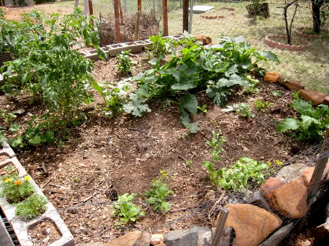 Garden Maintenance Misconceptions Unraveled: 14 tasks you believe are essential for your garden,...