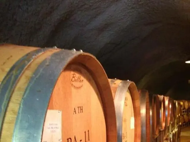 Decline in Shale Oil Production: Repercussions on International Energy Sectors