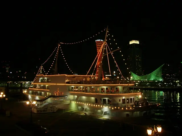 Hamburg's Festive Cruise: Commemorating Large Pots and Bright Lights