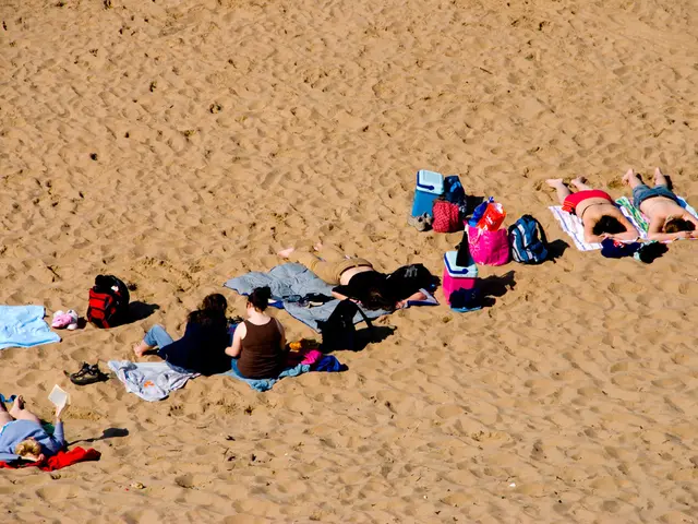 "Corpora Arenacea Unearthed: Exploring the Fascinating Realm of Brain Sands"