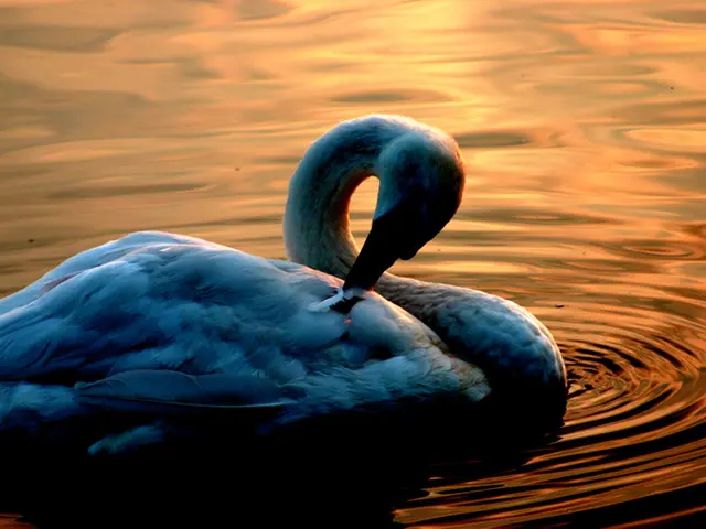 Exploring Physics Theories in a Natural Setting: 7 Innovative Approaches to Inspire Awe