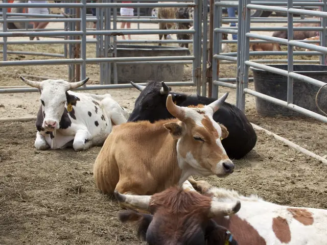 Firefighter Saves Endangered Animals: Successful Rescue of Mother and Calf!