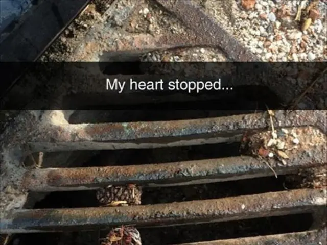 Minimally Invasive Heart Procedure Grants Fresh Air to Mr. Balaban in Cardiology Recovery