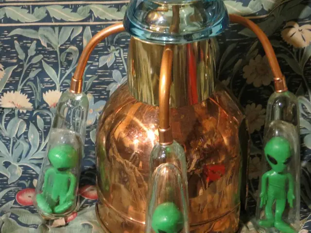 Alien-like Indigenous Humanoids: An Examination of Earthbound Extraterrestrials and Their...