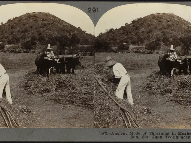 Dog exhibits contrasting uptrend compared to analysis, suggesting potential surge to $4, according...