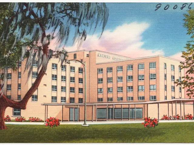 Planned novel entertainment spot emerges in Harz!