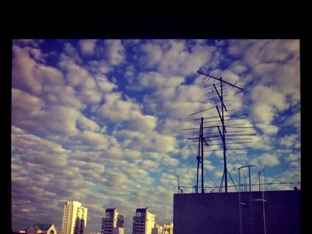 Directional Radio Tracking Technique