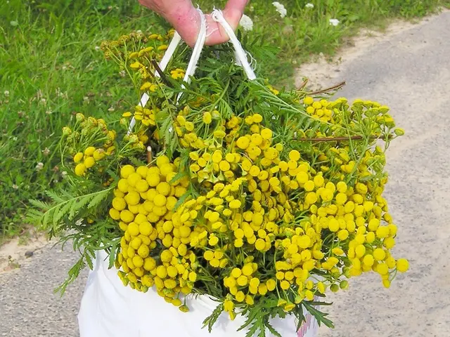 Top-tier garden tubs for transporting tools, vegetables, and floral arrangements