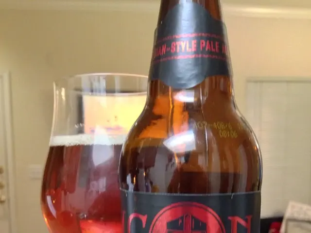 Unraveling the Details Surrounding the PayPal Crime Bust