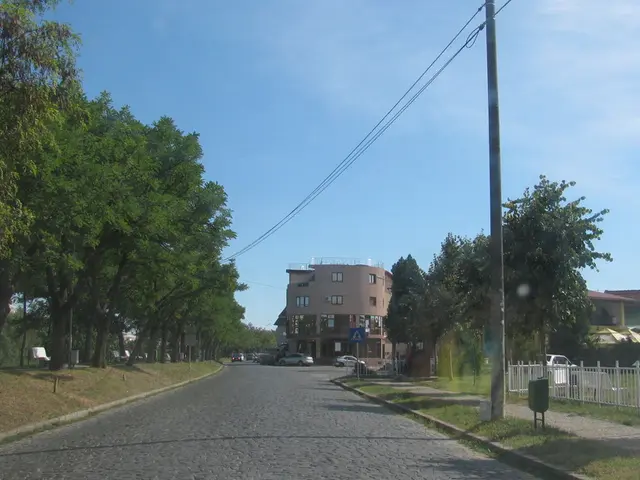 Jacksonville Introduces Public Transportation Using Self-Driving Cars