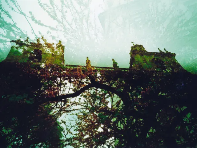 Roadway over Bookholt blocked due to bridge closure