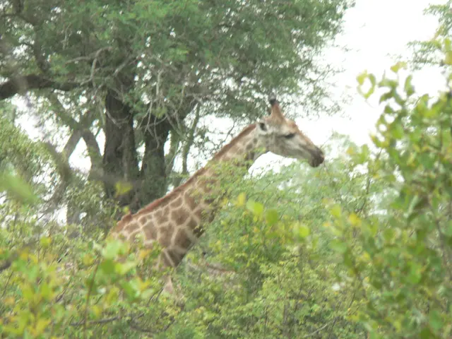 Economy struggles, mandated vaccinations, massive lottery wins: A roundup of today's news