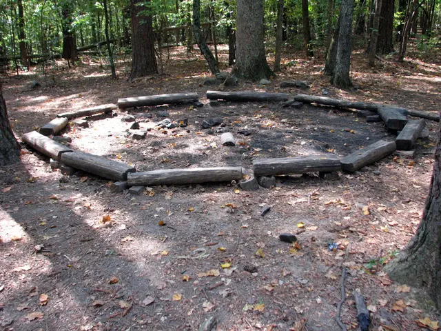 Tree Recognized as National Heritage