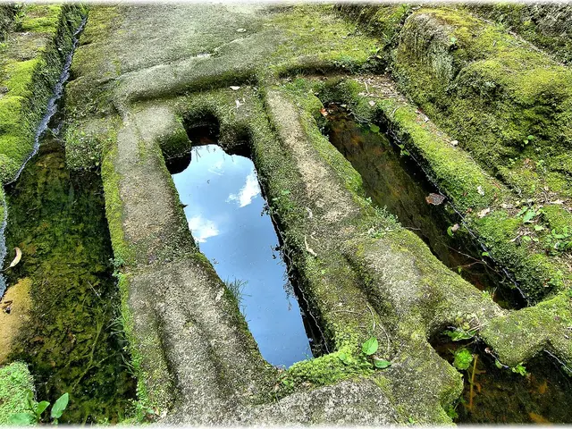 Harnessing green hydrogen for resolving Nigeria's ongoing energy predicament