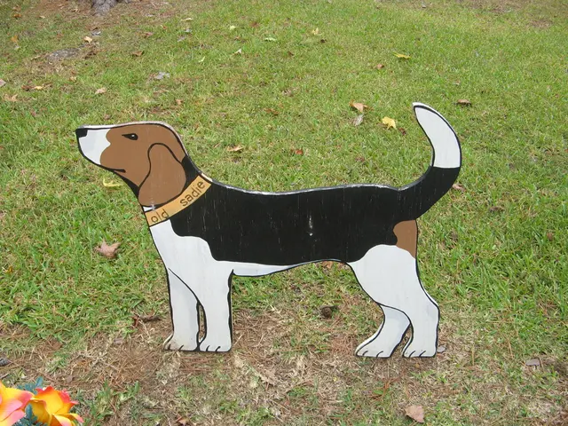 Dogecoin breaches triangle formation pattern, analyst issues alert for potential decrease in value...