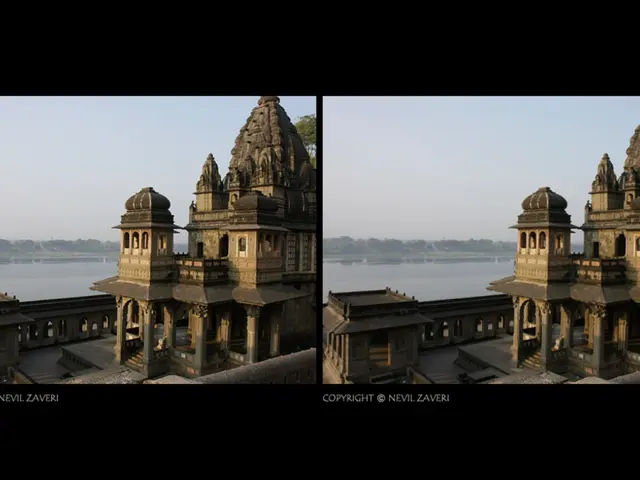 "Alternative Options Explored"