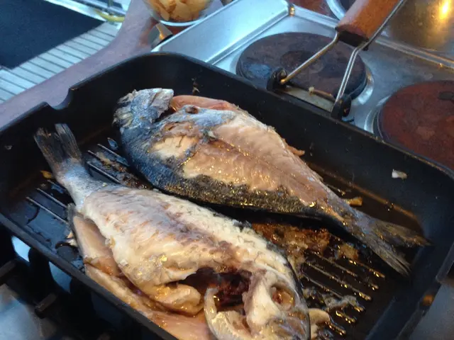 Top 9 Captivating Campfire Foil Wrapped Fish Recipes to Savor