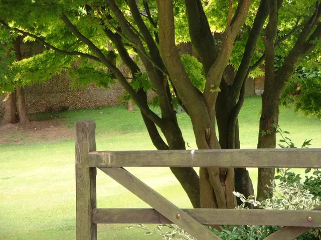 Singapore and China forge ahead in green financing collaborations