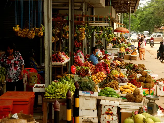 Reduced taxes on everyday items, vehicles, and lodging under the GST overhaul