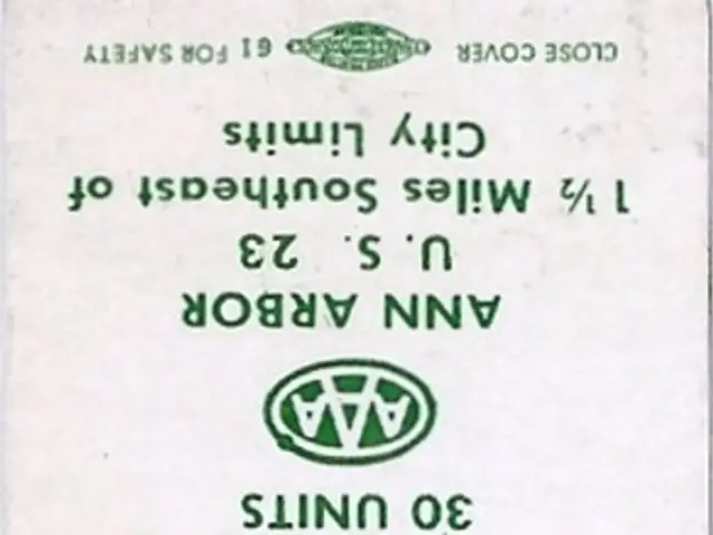 Dollar Tree's Shares Experiencing Decline Today