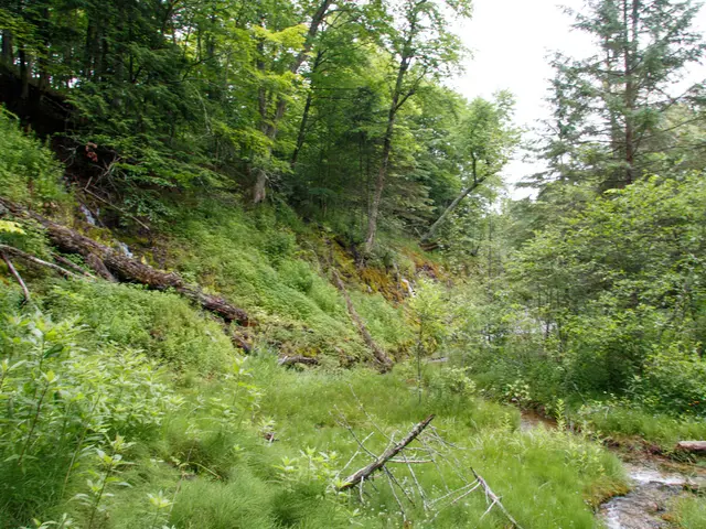 Native Land Rights and Sovereignty Issues